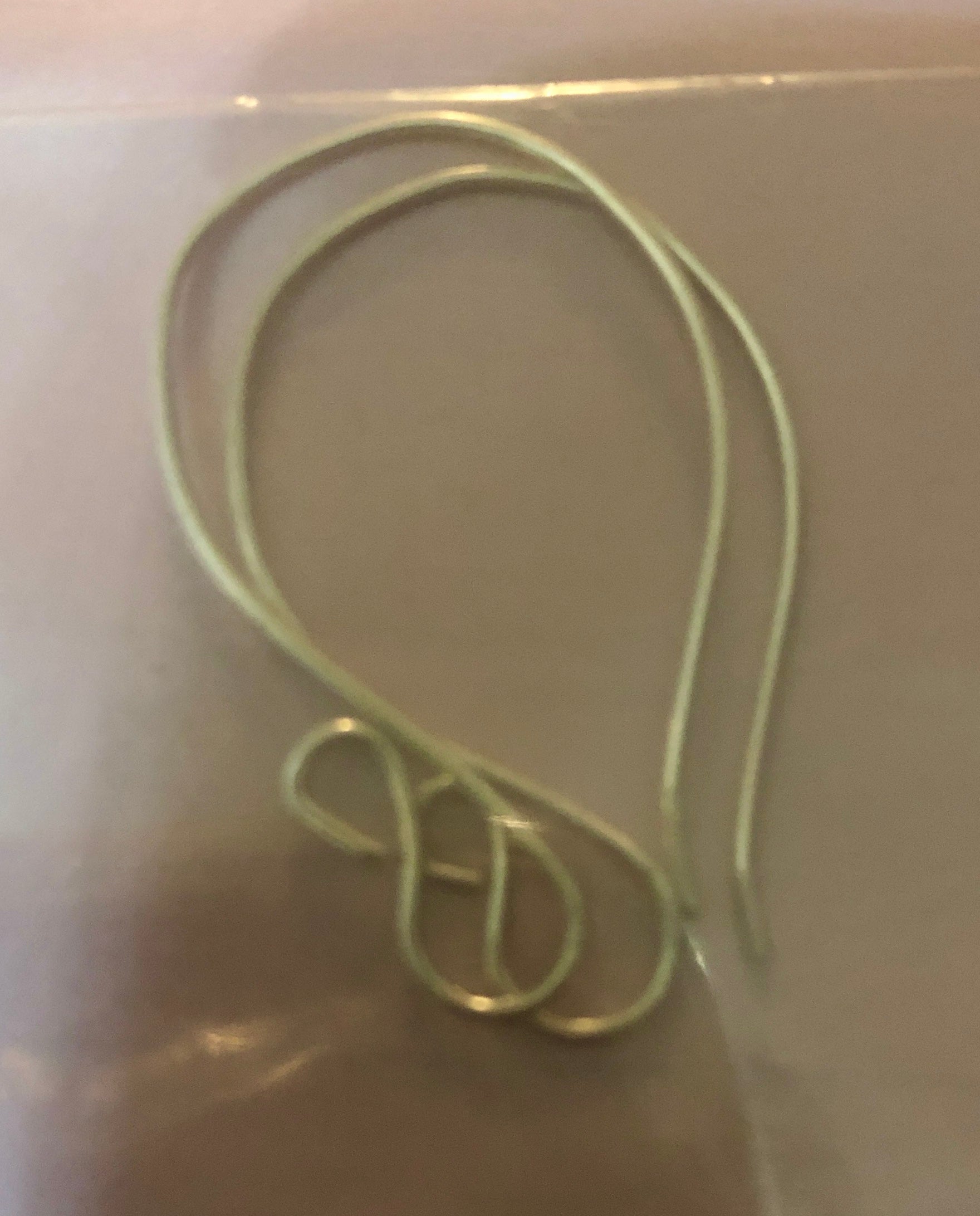 C5 SS 21ga swan hook ear wires